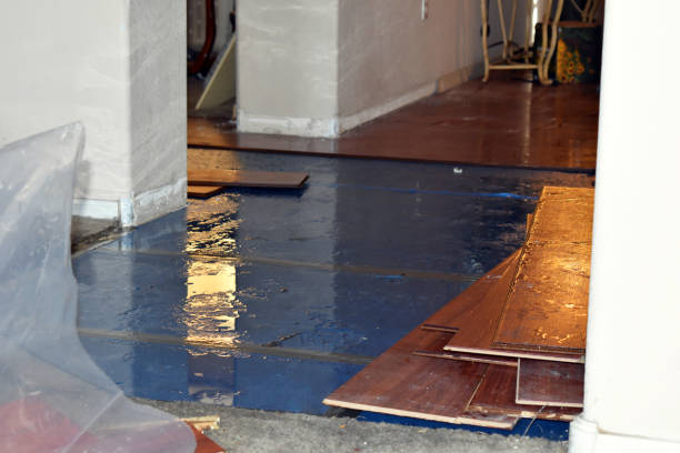 Professional Basement Flood Cleanup technician working in Luther, MI