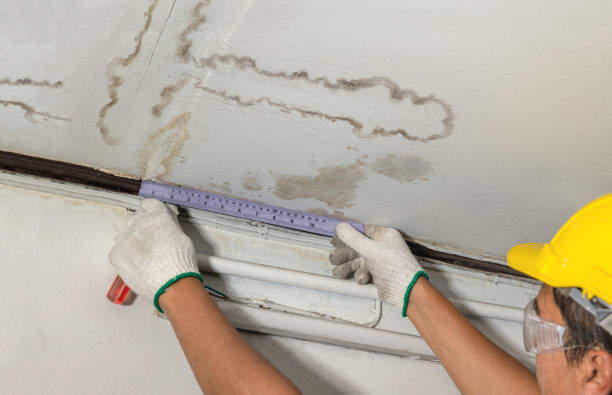 Reliable Basement Flood Cleanup contractor in Luther, MI by Aqua Guard Water Damage